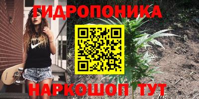 дживик Ставрополь