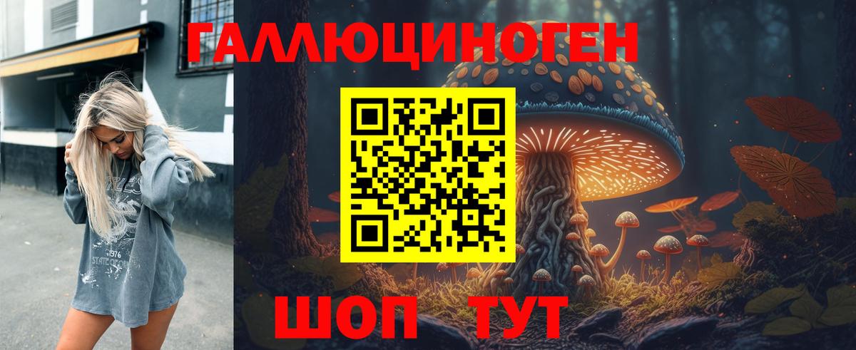 купить  сайты  Вход с VPN  Ангарск  Галлюциногенные грибы Psilocybine cubensis 